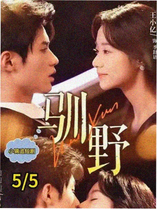恐怖鬼片电影大全 美剧 灵异女仆 2019 剧集海报